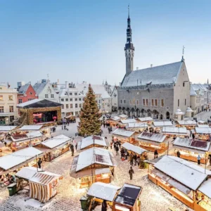 Dagtocht Kerstmarkt Binnenstad Haarlem